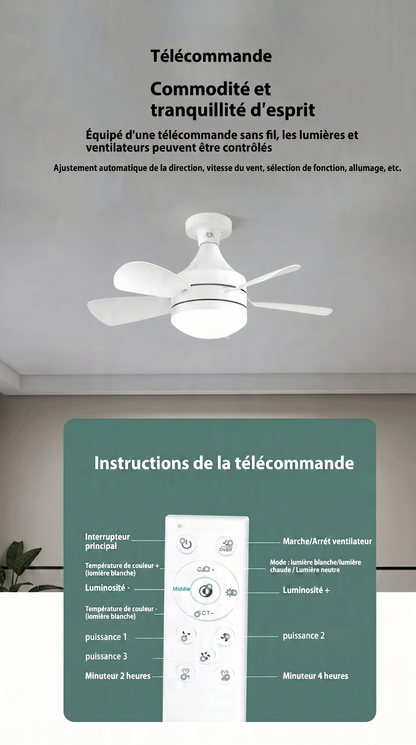 Ventilateur Plafonnier 2-en-1 Lumière LED | AirVibe