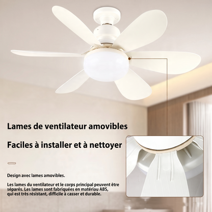 Ventilateur Plafonnier 2-en-1 Lumière LED | AirVibe
