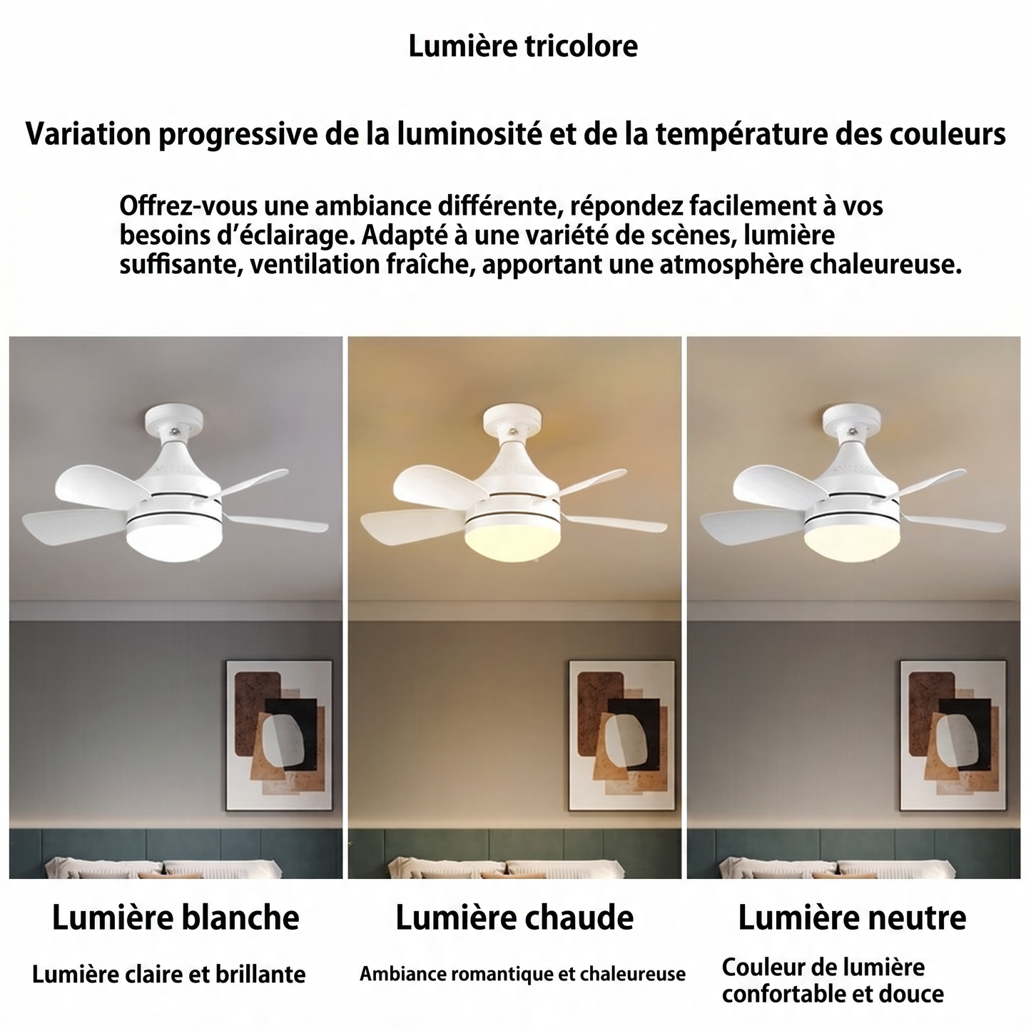 Ventilateur Plafonnier 2-en-1 Lumière LED | AirVibe