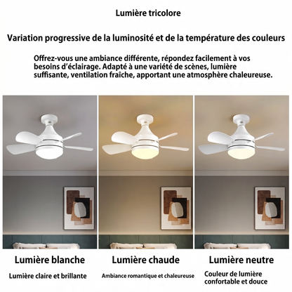 Ventilateur Plafonnier 2-en-1 Lumière LED | AirVibe